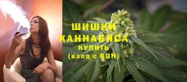 твердый Дмитриев