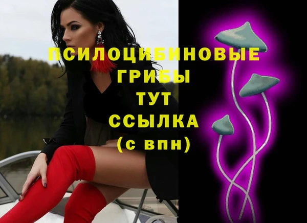 a pvp Дмитров