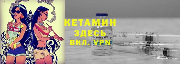 твердый Дмитриев