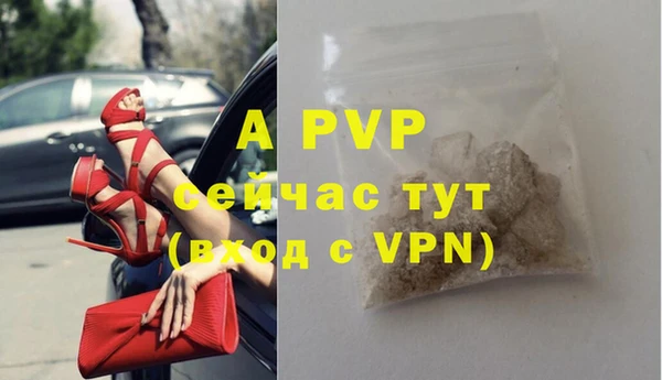 твердый Дмитриев
