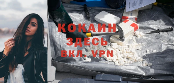 твердый Дмитриев