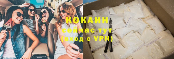 твердый Дмитриев