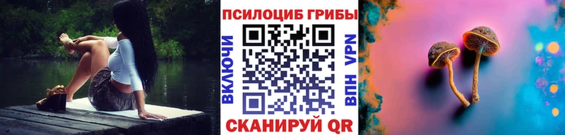 Галлюциногенные грибы GOLDEN TEACHER  Купить закладки  Лодейное Поле 